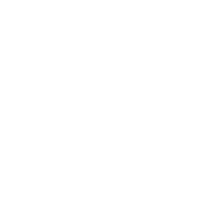 Miniatura de Plan de exportación