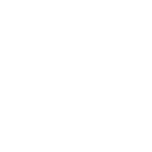 Miniatura de Vendedor por catálogo